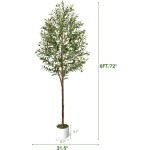 6FT Artificial Olive Tree - Indoor Tall Faux Olive Trees with Planter&Basket, Large Fake Olive Silk Tree Realistic Olive Plants with Branches and Fruits for Home Decor Office Living Room