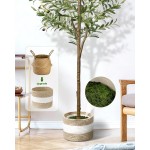 6FT Artificial Olive Tree - Indoor Tall Faux Olive Trees with Planter&Basket, Large Fake Olive Silk Tree Realistic Olive Plants with Branches and Fruits for Home Decor Office Living Room