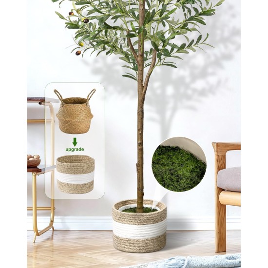 6FT Artificial Olive Tree - Indoor Tall Faux Olive Trees with Planter&Basket, Large Fake Olive Silk Tree Realistic Olive Plants with Branches and Fruits for Home Decor Office Living Room