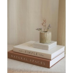 Beautiful Decorative Books - Set of 2 Boxes Enhance Your Coffee Table, Bookshelf or Mantel Shelf Decor - Aesthetic Fake/Faux Books for Modern Home Decoration, Photo Storage and as a Keepsake Box