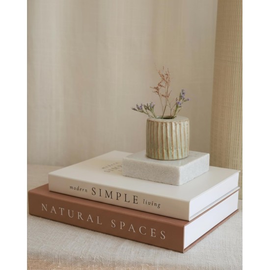 Beautiful Decorative Books - Set of 2 Boxes Enhance Your Coffee Table, Bookshelf or Mantel Shelf Decor - Aesthetic Fake/Faux Books for Modern Home Decoration, Photo Storage and as a Keepsake Box