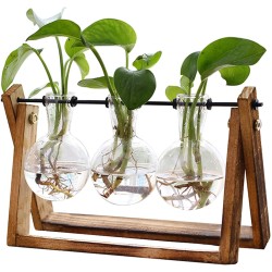 XXXFLOWER Plant Terrarium with Wooden Stand, Air Planter Bulb Glass Vase Metal Swivel Holder Retro Tabletop for Hydroponics Home Garden Office Decoration - 3 Bulb Vase