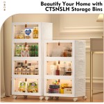 CTSNSLH 4 Tier Plastic Storage Bins and Boxes Organizer - Stackable with Lids for Bedroom, Living Room, Office - Foldable Containers