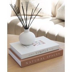 Beautiful Decorative Books - Set of 2 Boxes Enhance Your Coffee Table, Bookshelf or Mantel Shelf Decor - Aesthetic Fake/Faux Books for Modern Home Decoration, Photo Storage and as a Keepsake Box Beautiful Decorative Books - Set of 2 Boxes Enhance Your Coffee Table, Bookshelf or Mantel Shelf Decor - Aesthetic Fake/Faux Books for Modern Home Decoration, Photo Storage and as a Keepsake Box