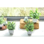Der Rose 4 Pack Fake Plants Mini Artificial Greenery Potted Plants for Home Decor Indoor Office Table Room Farmhouse Bathroom Decor