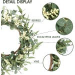 Pinkpum 20'' Eucalyptus Wreath for Front Door, Porch, Window - Green Decor for Home, Farmhouse - Spring, Summer, Fall, All Seasons
